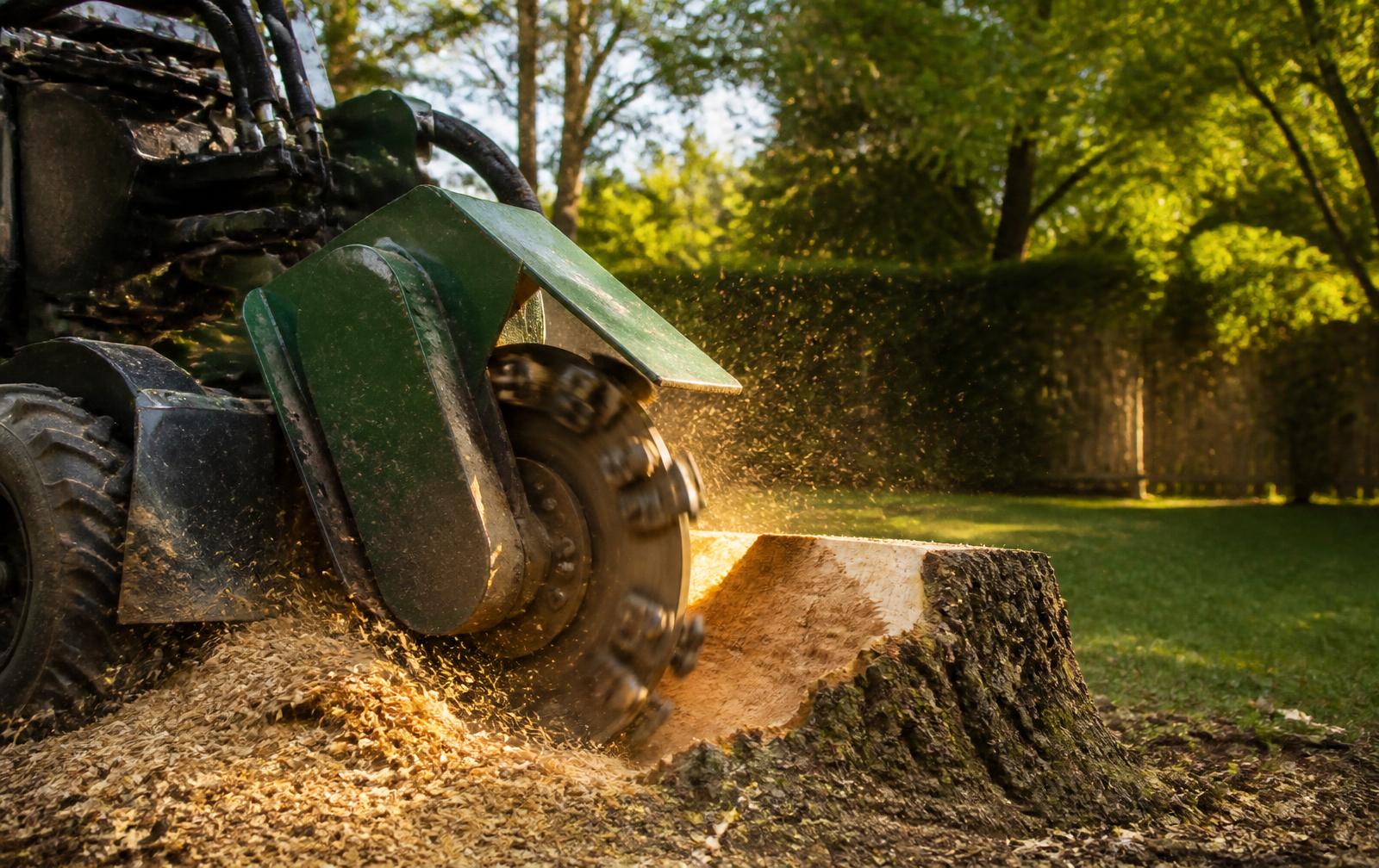 Land clearing equipment working an overgrown lot in North Port, Florida